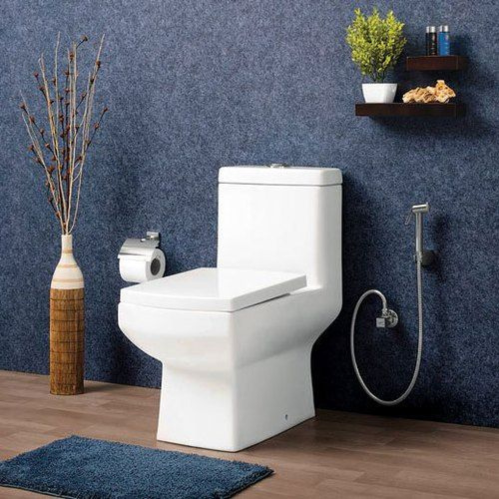 western toilet image